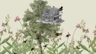 Live Bird Friendly: Plant Native Plants to Shelter and Nourish Birds