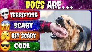 СПИСОК СТРАХОВ: Насколько вы напуганы? 😱