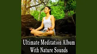 Golden Mist with Solo Piano and Rhythmic Ocean Waves