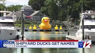 5 inflatable ducks at Wickford Shipyard get named