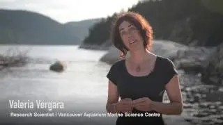 Beluga Research
