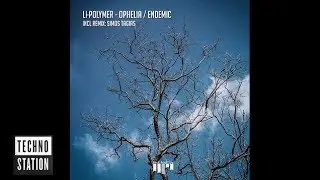 Li-Polymer - Endemic | Techno Station