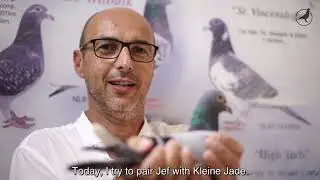 PIPA TV: Hugo Batenburg
