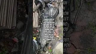 Lexus gs300 #lexus #gs300 #transmission #free #sub #like #diy #youtube #short #fyiシ゚viral #fyi #fyp