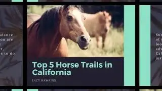 Top 5 Horse Trails in California