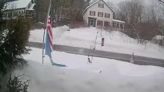 Silent winter bird watching