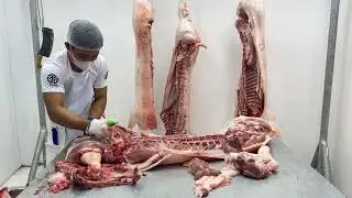 How to Debone half pork carcas