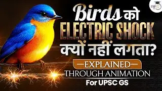 Why Birds Don&rsquo;t Get Electrocuted on Electric Wires? | Explained with Animation | StudyIQ IAS