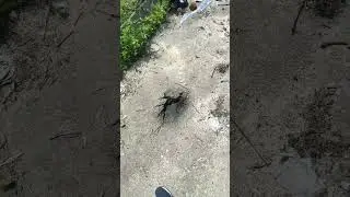 #асфальт не помеха