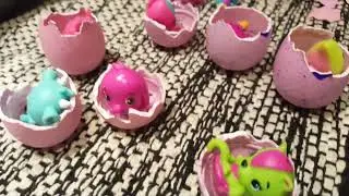 Hatchimals Colleggtibles One Dozen Unboxing Toy Review Surprise Eggs