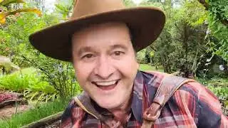 Xodozinho Sanfonando - Eterno Mangabinha