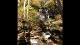Twin Falls on Henry Branch