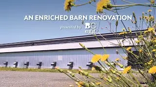 An Enriched Barn Renovation with Planeview Farms