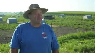 Raising Pigs on Pasture with a Niman Ranch Farmer