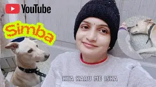 Simba Ne Kya Tod Diya 😣|| Renu Chitra Vlog || vlog #139