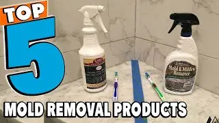 Best Mold Removal Products of 2026 | Mold Removal Products Buying Guide (Top 5)