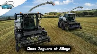 Claas Jaguar 980s Black Edition at silage