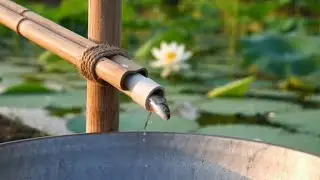 Amazing Pipe Fishing Method in a Peaceful Lotus Pond