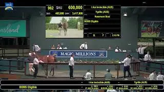 2021 Magic Millions Yearling Sale Day 5