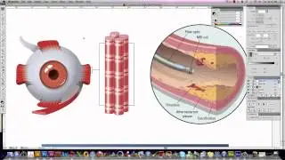 Overview of Graphics Software