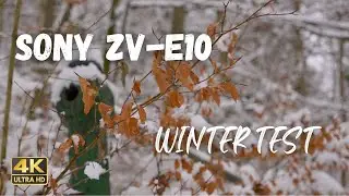 Sony ZV-E10 | Winter Test 4K