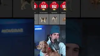 We found out which dogs have the STRONGEST bites 😳🐶