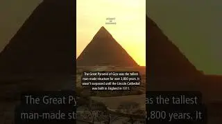 Today's Insight: Pyramid of Giza #shorts #insight #facts #information #knowledge #daily #pyramid