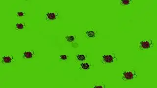 Greencsreen
