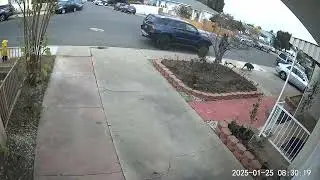 person with dog big black guy garage #poop