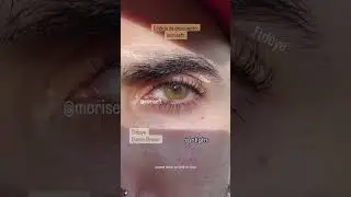 Queen Brown Review🤎Most natural contact lenses for everyday looks