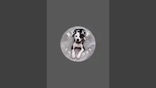 BuckyTheBoss is live!