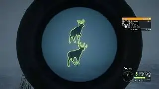 🔴LIVE🔴 LEGENDARY AND DIAMOND DEER seeking in ASKIY RIDGE | theHunter: Call of the wild