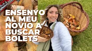 IDENTIFICANT BOLETS COMESTIBLES | Rovellons, Rossinyols i m&eacute;s!🍄&zwj;🟫