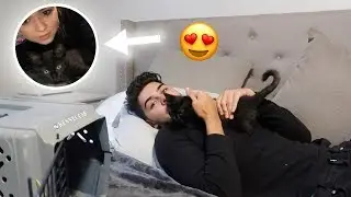 HE'S HOME! Kitten Name Reveal!