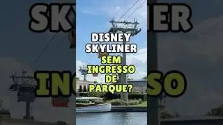 SKYLINER NA DISNEY - PRECISO DE INGRESSO?