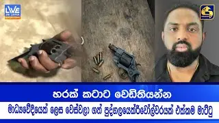 හරක් කටාට වෙඩිතියන්න මාධ්‍යවේදියෙක් ලෙස වෙස්වලා ගත් පුද්ගලයෙක්  රිවෝල්වරයක් එක්කම මාට්ටු