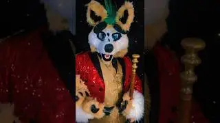 Almost that time again!! The Furryz got Talent Show at Furrydelphia 2025!! #furry #fursuit