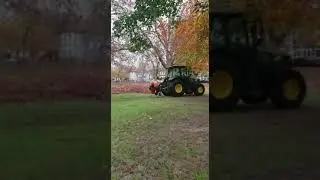Leaves collection in local park!
