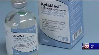 Horse sedative 'xylazene' detected in 15 overdose deaths in Vermont this year