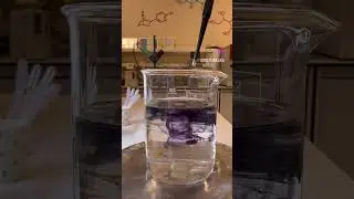 Biochemistry Practical #trending #anime #lab #laboratory #biology #biochemist