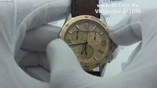 Обзор. Мужские наручные часы Victorinox 241659