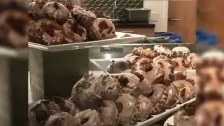 JetNation Joins The Bacon Bonanza At The Institute of Culinary Education