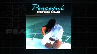 FREE FLP 🎸 [Guitar] YSN Flow Type Beat - 