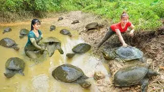 REWIND TIMELAPSE --266 Days Catching Many Turtle, Palm Weevil, Jackfruit, Custard Apple.,...
