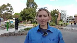 Golden Pipeline Drone Mapping - Ainslea Kipling