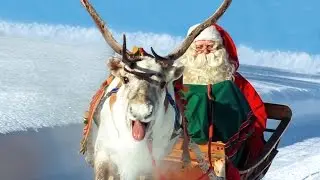 Rennes du Père Noël en Laponie 🦌🎅 vrai Papa Noël à Rovaniemi Finlande - Village du Père Noël
