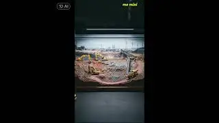 atmosphere of the mining project area #miniature #mining #miningprocess #shortvideo #shorts #mini