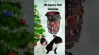 Christmas gifts for dogs, Tasman Pet Collagen-based dog chews