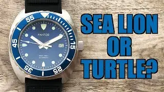 Not Another Diver!? Pantor Sealion Blue Automatic Dive Watch Review - Perth WAtch #379