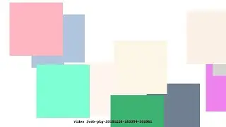 Video #web-pkg-20181220-163354-301061